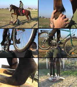 Horse Cycle And Plank