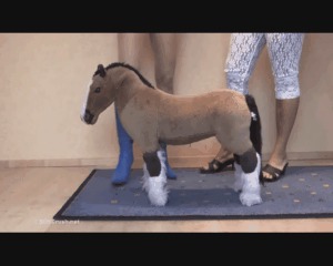 Horse Buttcrush